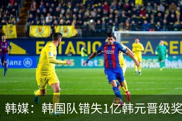 韩媒：韩国队错失1亿韩元晋级奖 但每人仍可拿8000万津贴